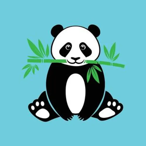 Panda avatar